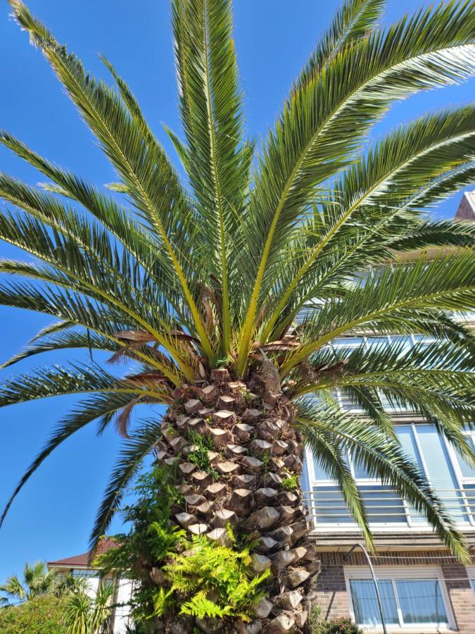 Luminoso Apartamento Playa Ris Con Garaje Noja Eksteriør billede